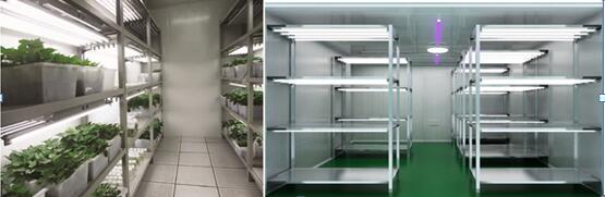 培养架型植物生长室建设 植物生长室设计公司