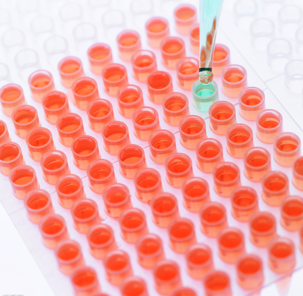 血镁浓度测试盒(酶标法)