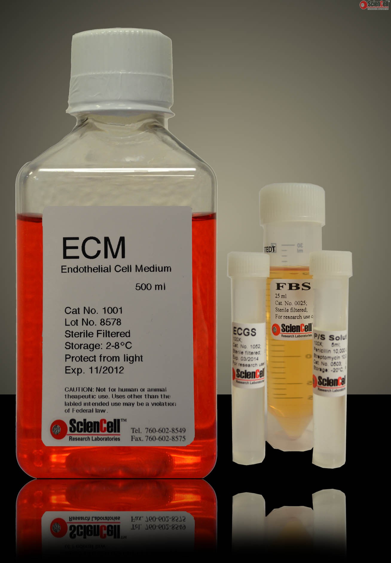 Sciencell 1001 ECM 内皮细胞培养基 Endothelial Cell Medium