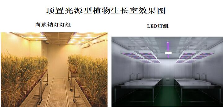 顶置光源型植物生长室设计与建设 高效低能耗