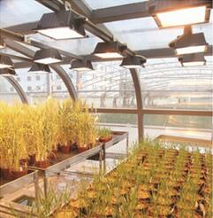 日光型植物生长室建设 植物生长室施工