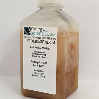 Fetal Bovine Serum, South America Source