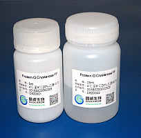 Protein G 琼脂糖凝胶4 HP