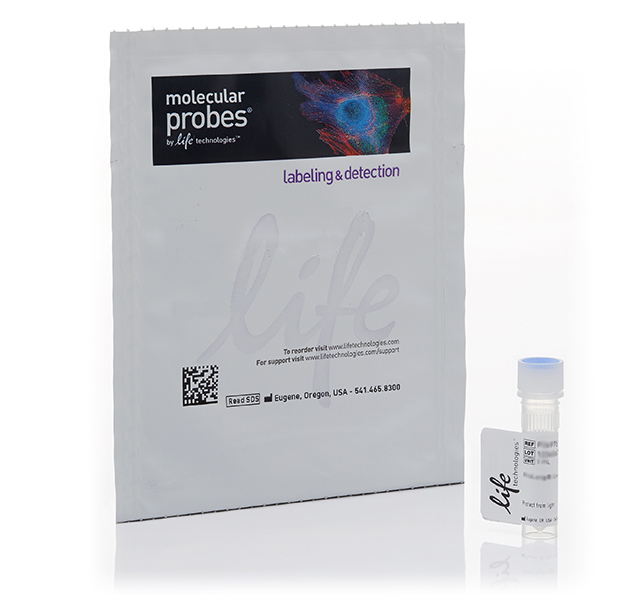 FM® 4-64FX, fixable analog of FM® 4-64 membrane stain