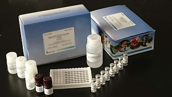 美国Abraxis公司丙烯酰胺高敏试剂盒515680 微孔板P/96T