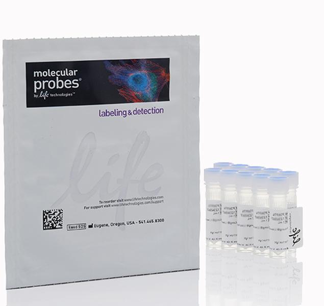 细胞增殖分析试剂盒  用于流式细胞术