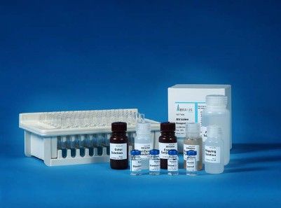 大鼠血影蛋白分解产物elisa试剂盒