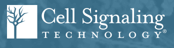 Image-iT® FX Signal Enhancer