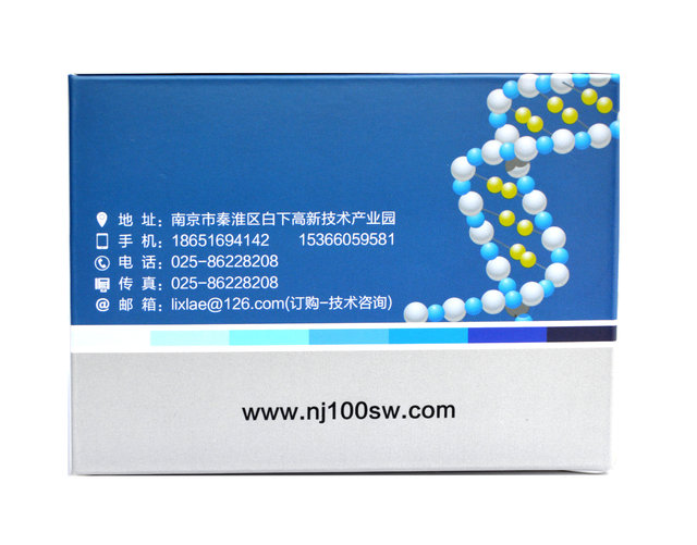 小鼠白介素10(IL-10)ELISA人基质金属蛋白酶11(MMP11)ELISA试剂盒高灵敏度便宜厂家 