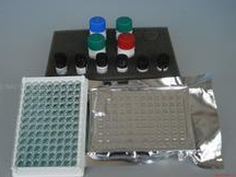 嗜酸粒细胞直接计数液（石碳酸法）