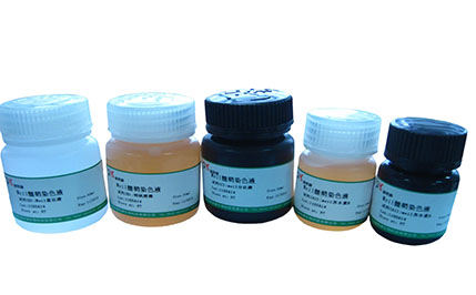 亚甲基蓝-酸性品红染色液