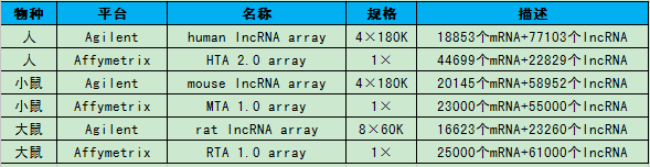 lncRNA/mRNA二合一表达谱芯片