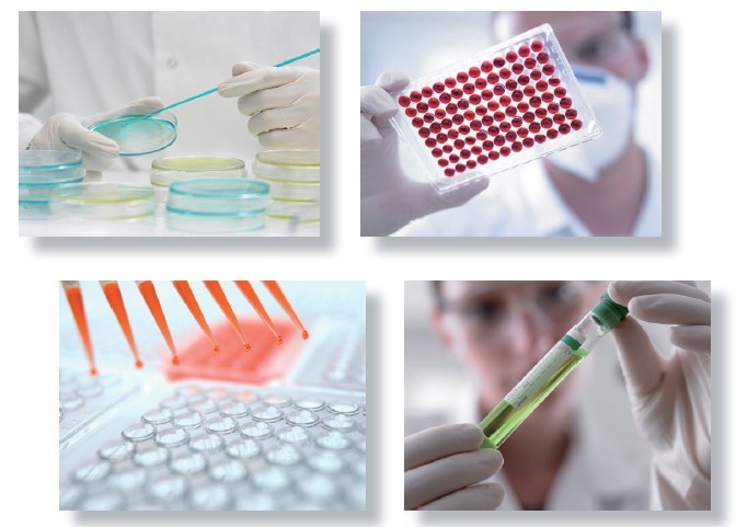 体外药物代谢研究服务