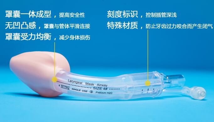 双腔引流喉罩（WORK沃克品牌）