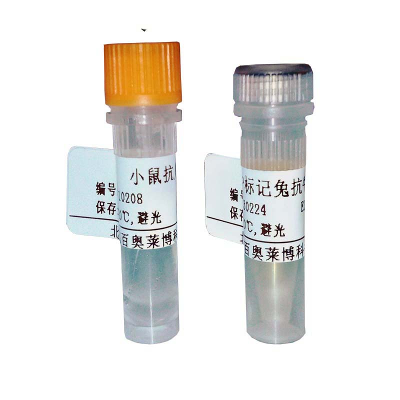 生物素化羊抗大鼠IgG抗体