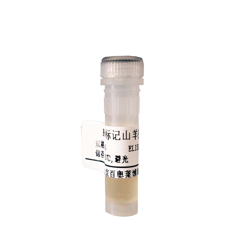 BL0841型羊抗人白蛋白纯化抗体