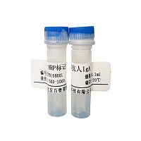 羊抗人白蛋白-HRP北京厂家现货