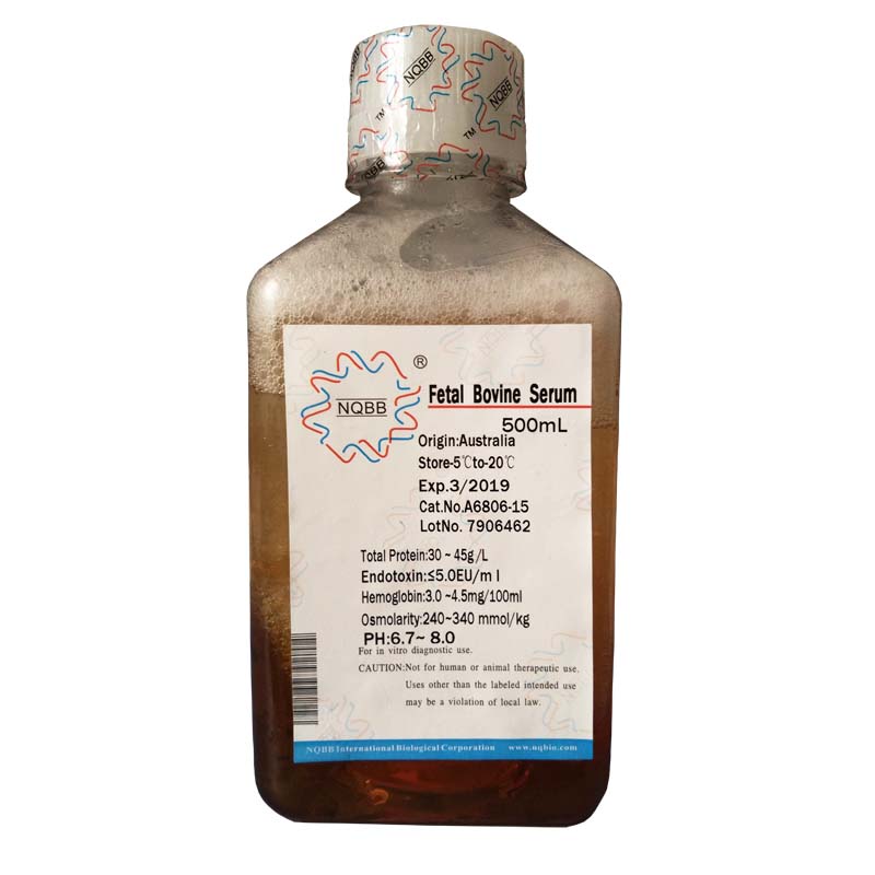 兔抗Avidin(卵清亲合素)