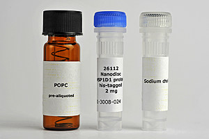 已组装纳米磷脂盘试剂盒Nanodisc MSP1D1-His_POPC【膜蛋白研究】