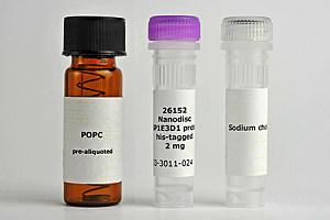 已组装纳米磷脂盘试剂盒Nanodisc MSP1E3D1-His _POPC