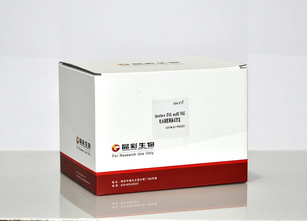 Genshare CFAS any KD PAGE蛋白电泳试剂盒II型