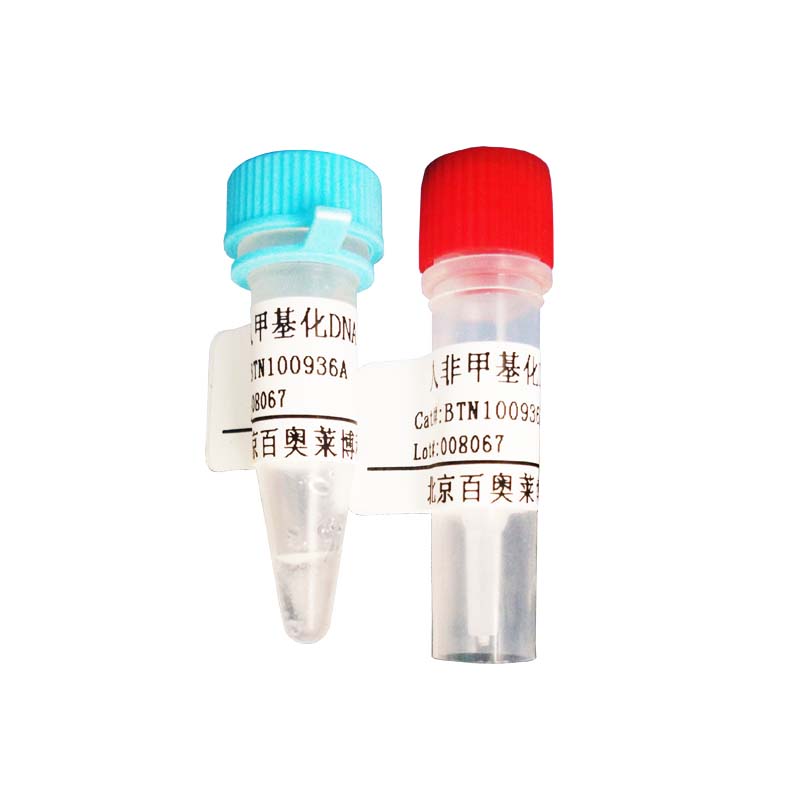 北京免疫染色二抗稀释液现货供应