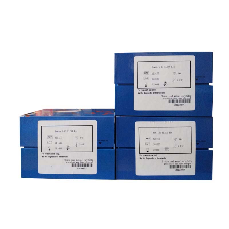 大鼠β细胞素(BTC)检测试剂盒现货供应