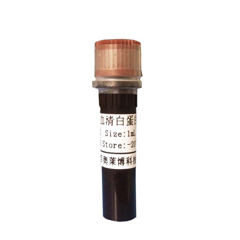 硼砂缓冲液(pH9.3-10.1)促销