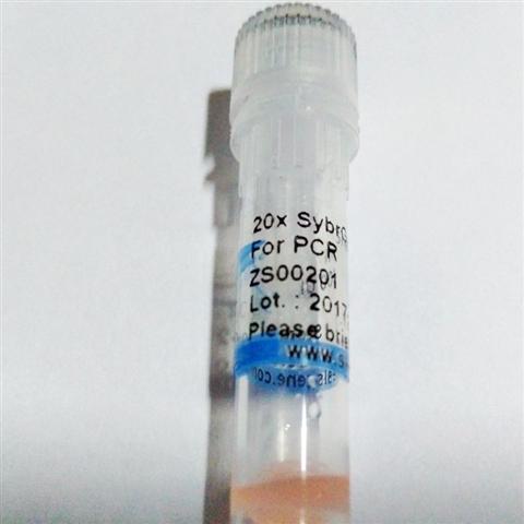 SYBR Greenl (20*) 