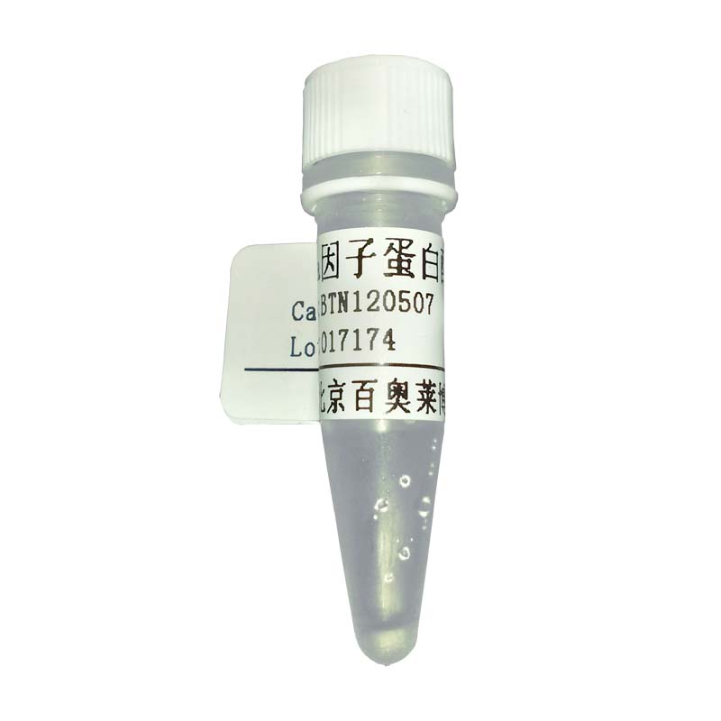 北京现货BOC-L-丙氨酸 15761-38-3折扣价