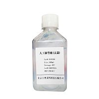 EMSA突变探针-NF-κB(10μM)供应