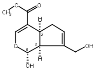 京尼平大量现货，高纯，自制 Genipin    中药对照品标准品  6902-77-8