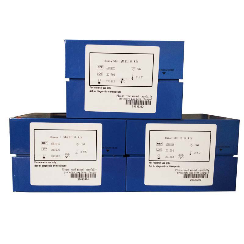 ELISA法P物质受体检测试剂盒