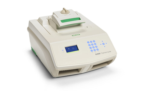 伯乐 S1000™ PCR仪