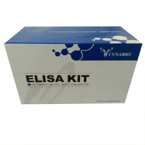 人糖类抗原199（CA199）ELISA Kit