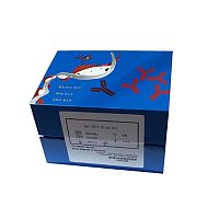 人LMP7/PSMB9血清中含量检测促销