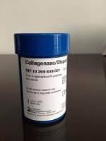 Collagenase/Dispase 