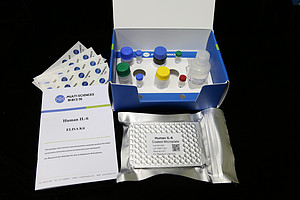Rat IL-10 ELISA Kit (大鼠白细胞介素10 ELISA试剂盒)