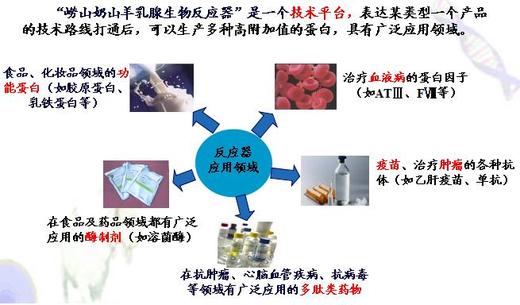 重组人抗凝血酶Ⅲ
