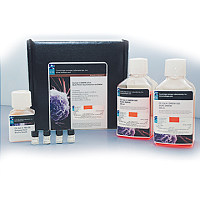 SILAC蛋白质定量试剂盒(RPMI1640)