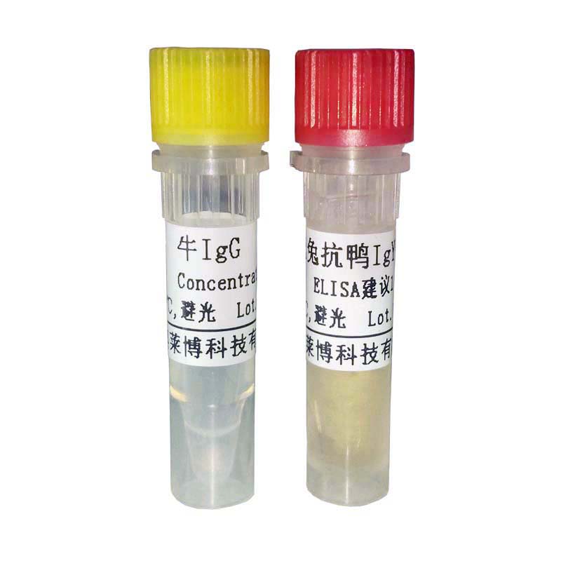 HRP标记羊抗乙肝e抗原抗体 HRP标记抗体