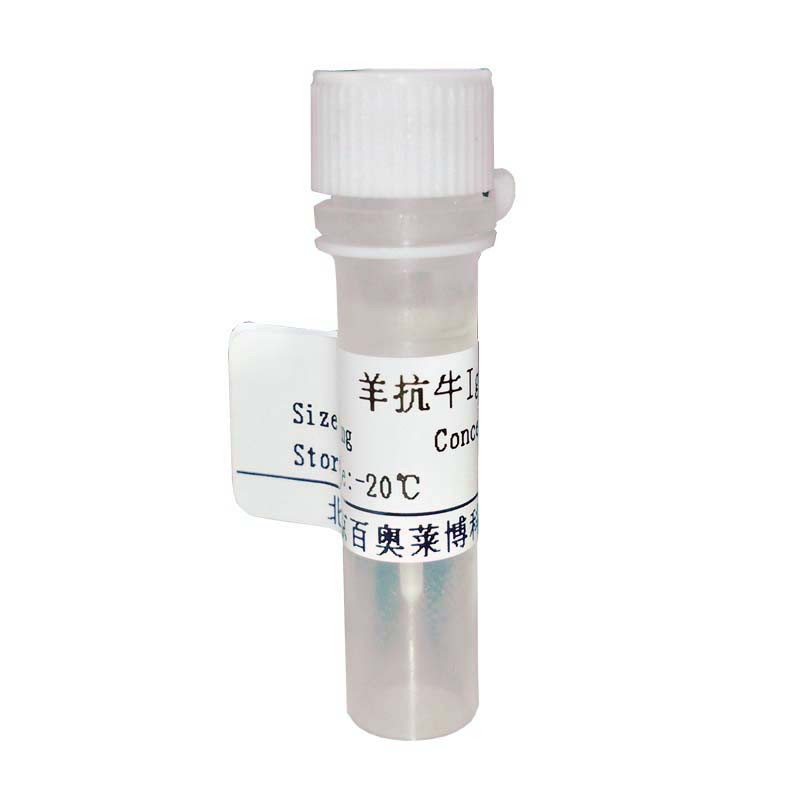F040308型小鼠IgG2a抗原(国产,进口)