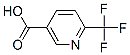 6-三氟甲基吡啶-3-甲酸