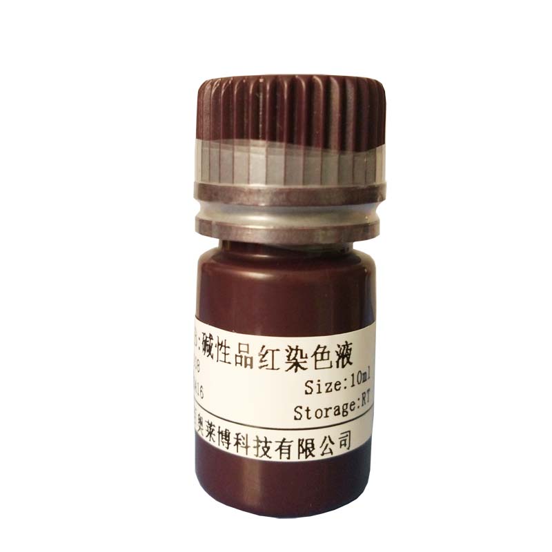 dam 甲基转移酶优惠产品图