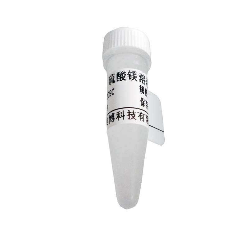 北京现货MspJI限制性内切酶品牌