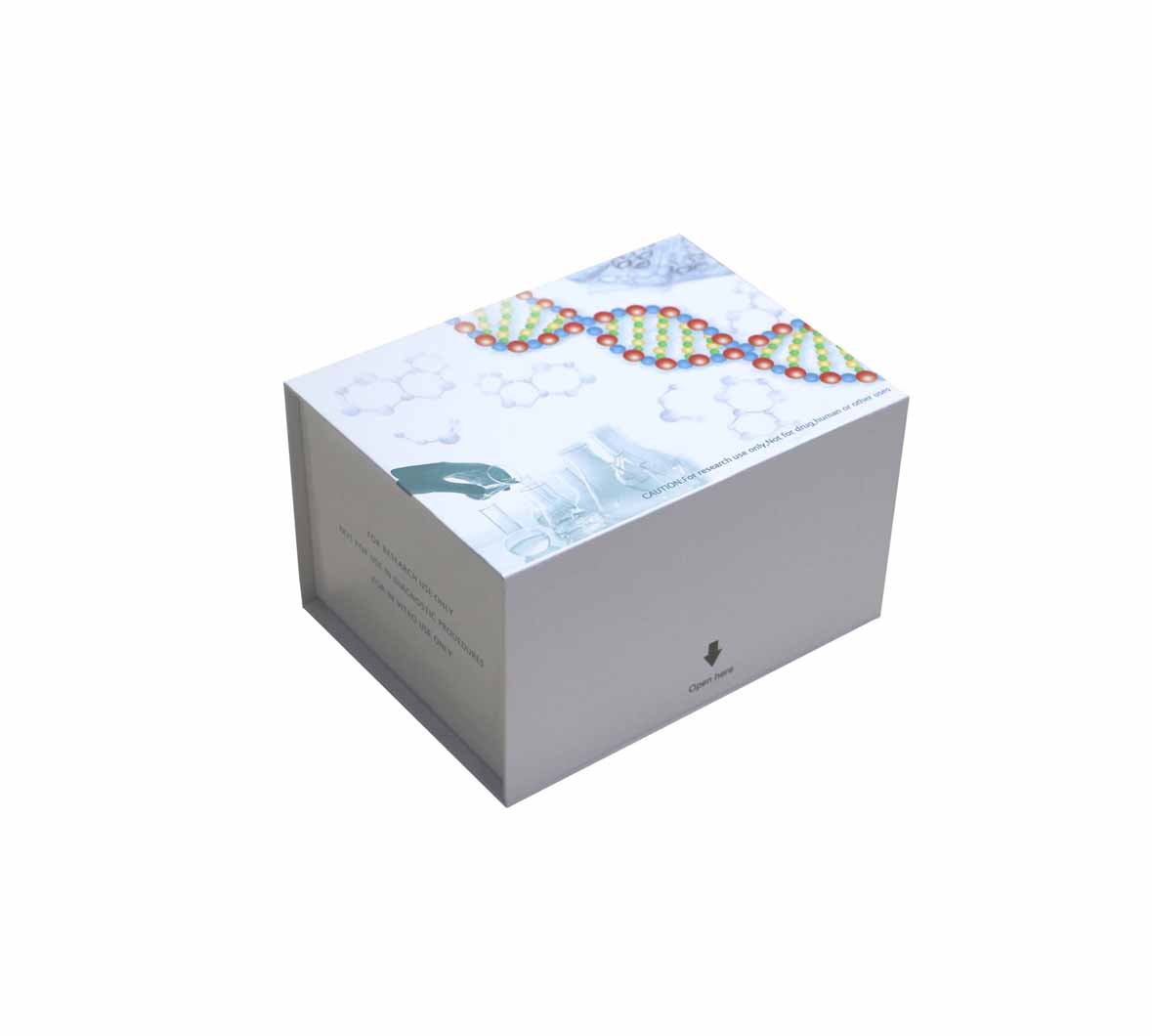 猴外源性α干扰素(Exo-IFN-α)ELISA测定试剂盒