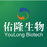 HA-Tag mAb HA标签抗体鼠单抗