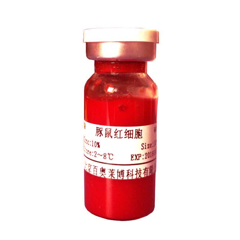 牛血清白蛋白(BSA) 血液制品