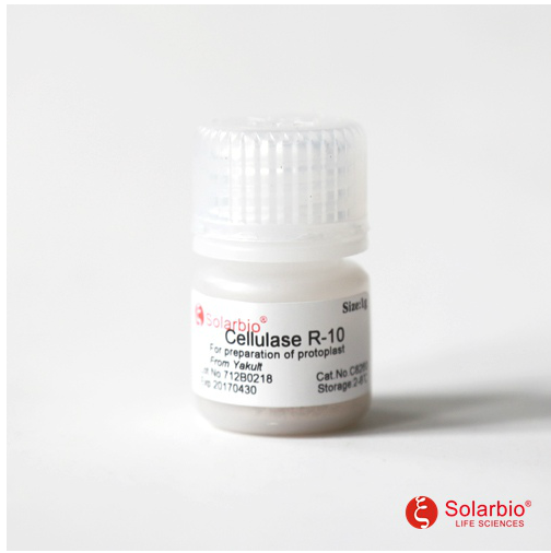 Cellulase R-10 纤维素酶R-10 9012-54-8