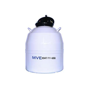 MVE XC 47/11-10 液氮罐厂家